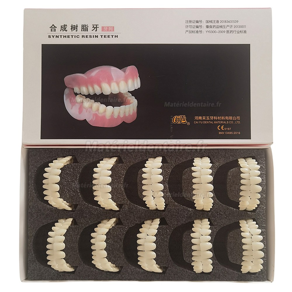 Prothèses dentaires en résine CAIYU (flexibles, bilatérales et symétriques) A1/A2/A3/A3.5/A4